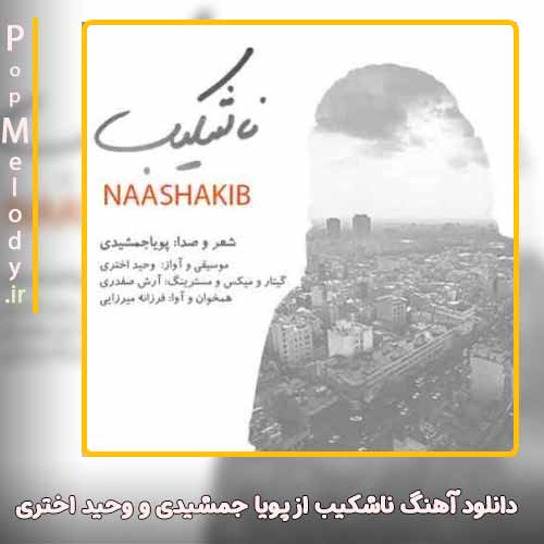 دانلود آهنگ پویا جمشیدی و وحید اختری ناشکیب